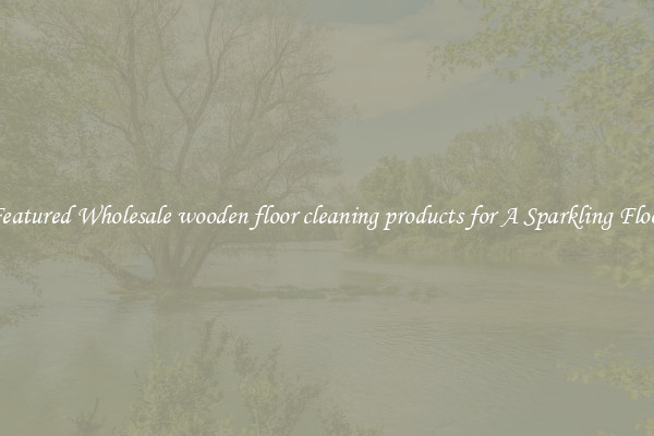 Featured Wholesale wooden floor cleaning products for A Sparkling Floor