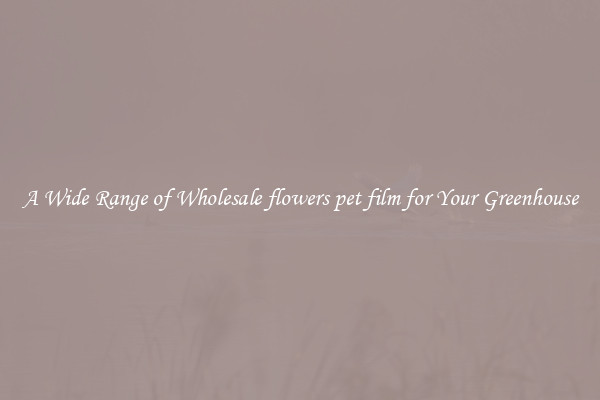 A Wide Range of Wholesale flowers pet film for Your Greenhouse