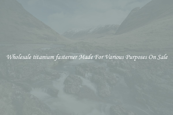 Wholesale titanium fasterner Made For Various Purposes On Sale