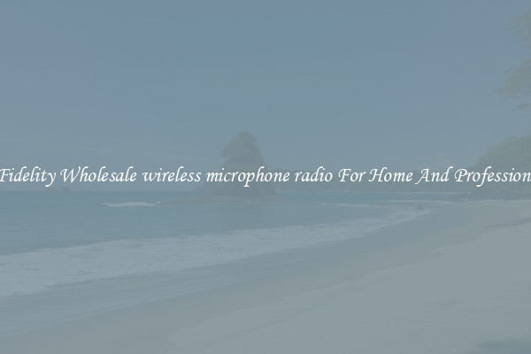 High Fidelity Wholesale wireless microphone radio For Home And Professional Use