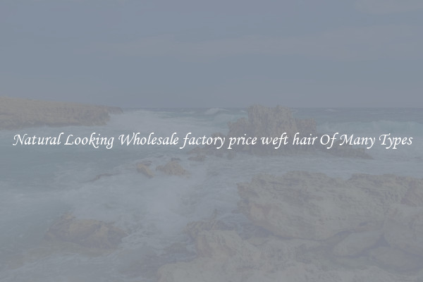 Natural Looking Wholesale factory price weft hair Of Many Types