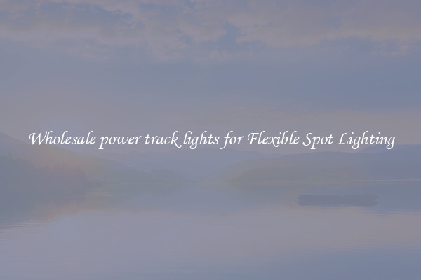Wholesale power track lights for Flexible Spot Lighting