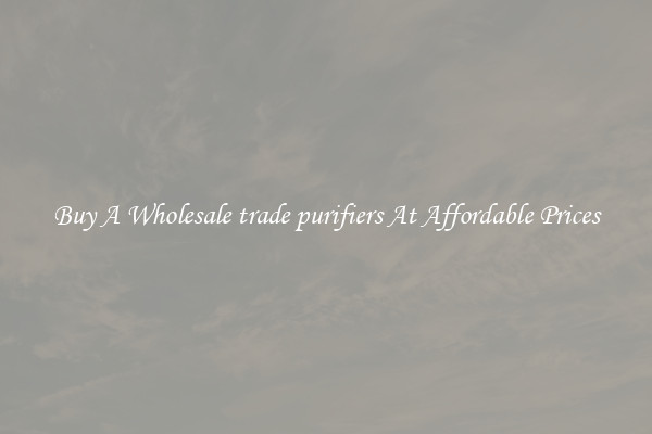 Buy A Wholesale trade purifiers At Affordable Prices