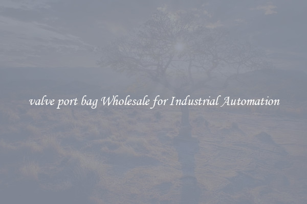  valve port bag Wholesale for Industrial Automation 