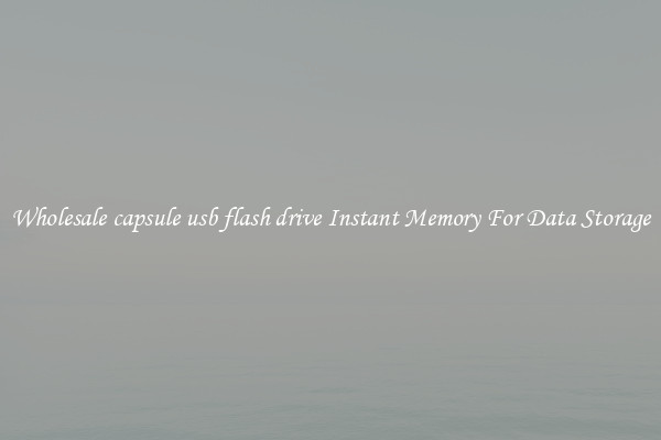 Wholesale capsule usb flash drive Instant Memory For Data Storage