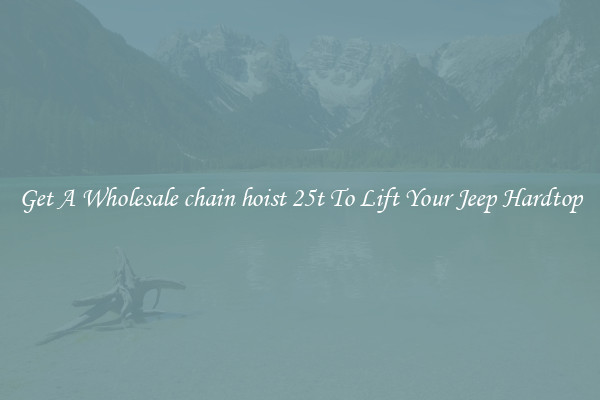 Get A Wholesale chain hoist 25t To Lift Your Jeep Hardtop
