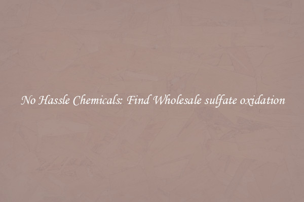 No Hassle Chemicals: Find Wholesale sulfate oxidation