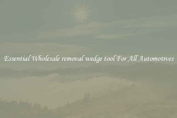 Essential Wholesale removal wedge tool For All Automotives