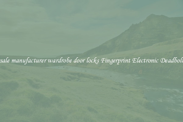 Wholesale manufacturer wardrobe door locks Fingerprint Electronic Deadbolt Door 