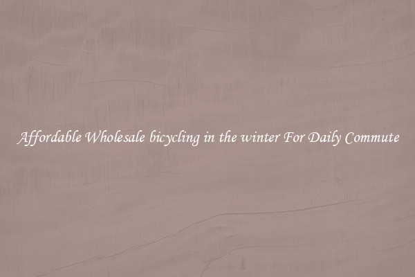 Affordable Wholesale bicycling in the winter For Daily Commute