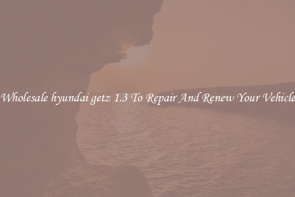 Wholesale hyundai getz 1.3 To Repair And Renew Your Vehicle
