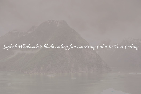 Stylish Wholesale 2 blade ceiling fans to Bring Color to Your Ceiling