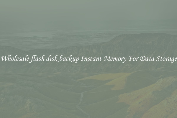 Wholesale flash disk backup Instant Memory For Data Storage